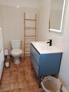 a bathroom with a blue sink and a toilet at Maison de 2 chambres avec jardin clos et wifi a Epreville en Lieuvin in Épreville-en-Lieuvin