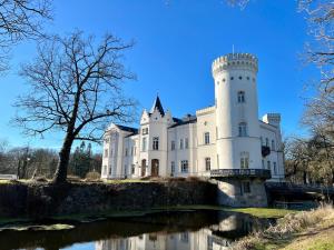 a castle with a pond in front of it at Schloss Schlemmin in Schlemmin