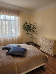ein Schlafzimmer mit einem Bett mit Kissen und einer Pflanze in der Unterkunft Talsi 2 rooms and backyard in Talsi