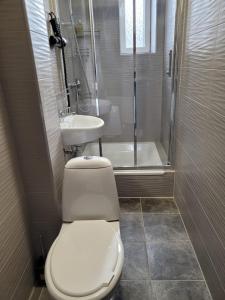 Koupelna v ubytování Talsu Vecpilsētas apartmenti