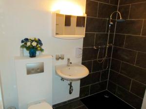 a bathroom with a sink and a toilet and a shower at Ferienwohnung Max 1 in Grube