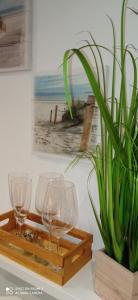 two wine glasses and a potted plant on a table at Apartment Kleine Koje in Hedwigenkoog