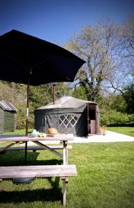 Foto dalla galleria di Beech Yurt a Fernhurst