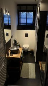 een badkamer met een wastafel en een toilet bij Casa Del Bosque in Maasmechelen