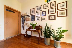 Kép La Camelia Apartment szállásáról Sorrentóban a galériában