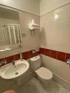 Kúpeľňa v ubytovaní Zámecký Hotel Zlatý Orel