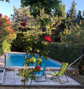 uma piscina com duas cadeiras e uma planta ao lado em Propriété LES TYNTARIDES proche port piscine privée em Cassis