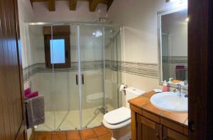 a bathroom with a shower and a toilet and a sink at Los Arenales de Arcones in Colladillo