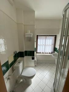 a bathroom with a toilet and a sink at Zámecký Hotel Zlatý Orel in Hranice