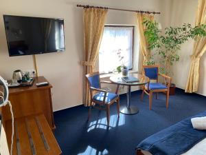 Televízia a/alebo spoločenská miestnosť v ubytovaní Zámecký Hotel Zlatý Orel