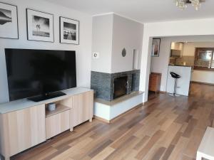 TV a/nebo společenská místnost v ubytování Apartamenty pod Dzikowcem