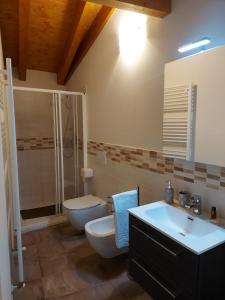 a bathroom with a toilet and a sink and a shower at LA MONTADARIA in Zavattarello