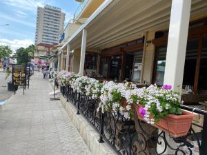 Gallery image of Hotel Atol in Sunny Beach +71 photos