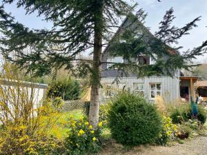 a white house with a tree in the front yard at Gronocottage in Bad Harzburg