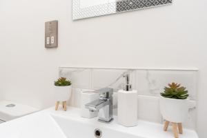 un lavabo con dos macetas. en Modern Apartments in Kings Lynn with Free Wi-Fi en Kings Lynn