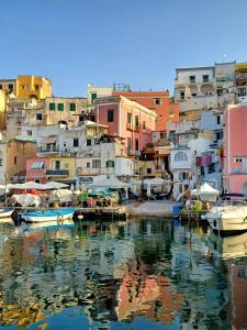 un groupe de bateaux amarrés dans un port avec des bâtiments dans l'établissement Maridea, à Procida