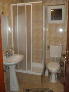 a bathroom with a shower and a toilet and a sink at Vila Luka in Ohrid