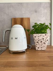 a toaster sitting on a counter next to a plant at Pension22 in Meißen