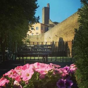 A garden outside IL TROTTAPIANO HOME