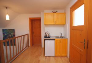 Kuchyňa alebo kuchynka v ubytovaní Apartmán V sadu + 8 fotografií