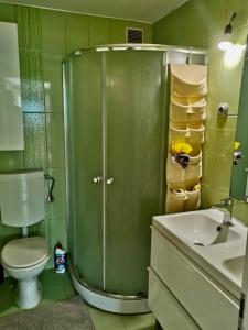 a bathroom with a shower and a toilet and a sink at Summer house with terrace and free private parking in Koper +41 photos