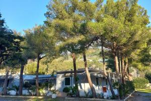 uma casa com árvores em frente em International Camping Village em Praia a Mare