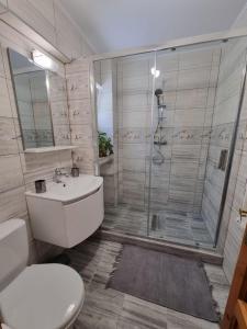 La salle de bains est pourvue d'une douche, de toilettes et d'un lavabo. dans l'établissement Apartament Ada, à Gura Humorului