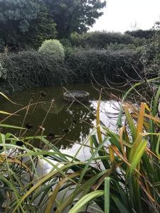 Gambar di galeri bagi Manoir de Parc ar Brun di Tréguier