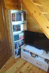 a bookcase under a staircase with a tv and books at Mountain house Catherine in Žabljak
