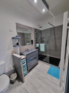 bagno con doccia, lavandino e servizi igienici di Le murier ensoleillé a Chinon