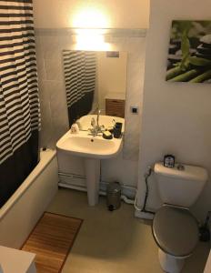 a bathroom with a sink and a toilet and a mirror at Charmant Studio in Talence