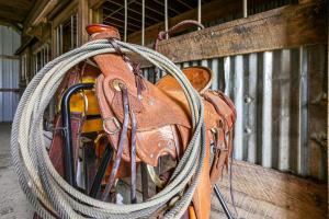 Foto dalla galleria di Renovated Bunkhouse on 12-Acre Horse Farm! 