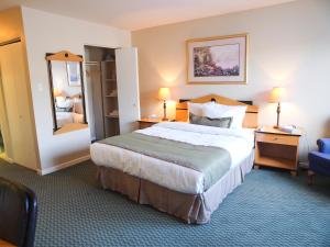 Habitación de hotel con cama grande y espejo en Beausejour Hotel Apartments/Hotel Dorval, en Dorval