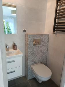 a bathroom with a toilet and a sink at Apartamenty Konik Morski Ostrowo in Ostrowo