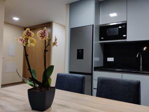 Μια τηλεόραση ή/και κέντρο ψυχαγωγίας στο Lamegos Guesthouse II