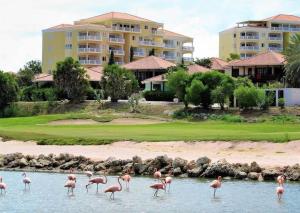 un grupo de flamencos en el agua de un complejo en Blue Bay Beach Apartment, en Blue Bay