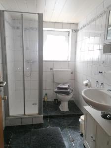 y baño con ducha, aseo y lavamanos. en Schönes Appartement " Die Ponybude" auf unserem Reiterhof, en Birkenbeul