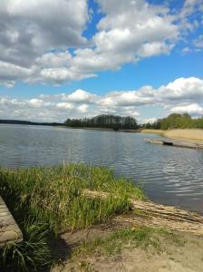 Przyroda w pobliżu tego domu wakacyjnego