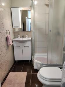 een badkamer met een douche, een toilet en een wastafel bij Apartman Emy in Karlovac