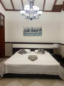 a bedroom with a large white bed with a chandelier at Apartaestudio amoblado centro histórico de Guadalajara de Buga in Buga