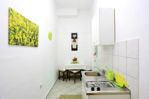 Kuchyň nebo kuchyňský kout v ubytování Apartment City Center Dragica