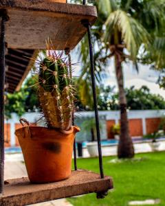 un cactus assis dans un planteur sur une terrasse couverte dans l'établissement Delcas Hotel, à Cuiabá