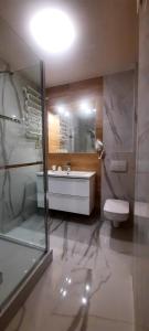 uma casa de banho com um chuveiro, um lavatório e um WC. em Willa Riwiera em Krynica Morska