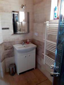 ein Badezimmer mit einem weißen Waschbecken und einem Spiegel in der Unterkunft Domek na Leśnej in Łapsze Niżne