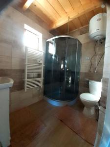 uma casa de banho com uma cabina de duche em vidro e um WC. em Domek na Leśnej em Comuna de Łapsze Niżne