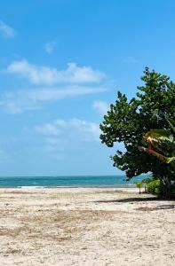 Playa en o cerca de de la casa vacacional