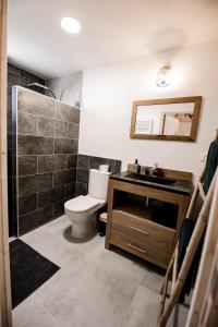 a bathroom with a toilet and a sink and a mirror at Entre Terre et Mer in Marsillargues +11 photos