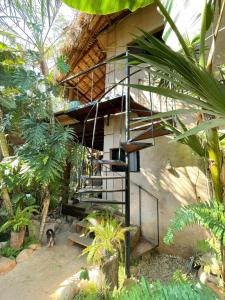 Zahrada ubytování la punta surf house 2