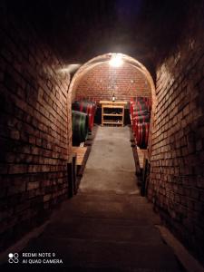 Billede fra billedgalleriet på Ubytování v soukromí u Jarušky na Moravě i Tvrdonice + 34 billeder