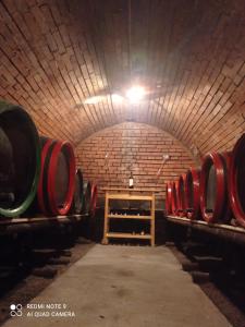 Billede fra billedgalleriet på Ubytování v soukromí u Jarušky na Moravě i Tvrdonice